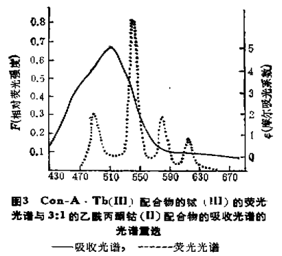 伴刀豆球蛋白A中铽(III)和钴(II)之间的能量转移一种新的金属离子之间距离的探针5