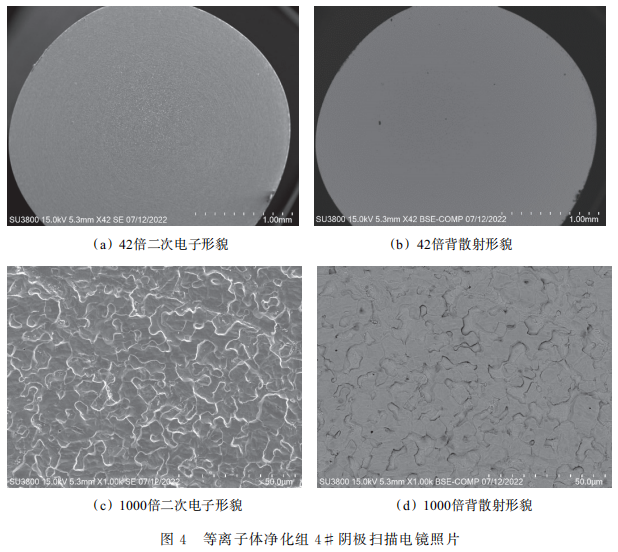 等离子体净化工艺对覆膜阴极性能的影响4
