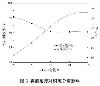 从钨锡尾矿中回收铜银的有效工艺6
